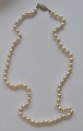 Perlenkette mit 
versilbertem 
Verschluss, 20. 
Jh. Länge: 60 
cm.
Perfekter 
Zustand!