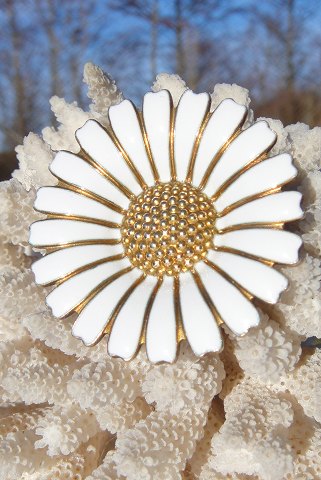 Flot marguerite- broche, Solgt