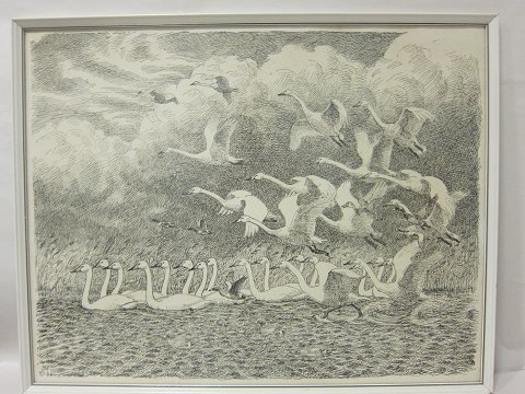 Grosser Druck von dem Maler, Johannes Larsen, aus Fyn, Dänemark
Schwanen
Johannes Larsen ist meist berühmt für seine vielen Vogelzeichnungen
Sehen Sie, bitte, auch unsere sonstigen Druck vom Maler Johannes Larsen
65cm x 71cm inkl. des Rahme