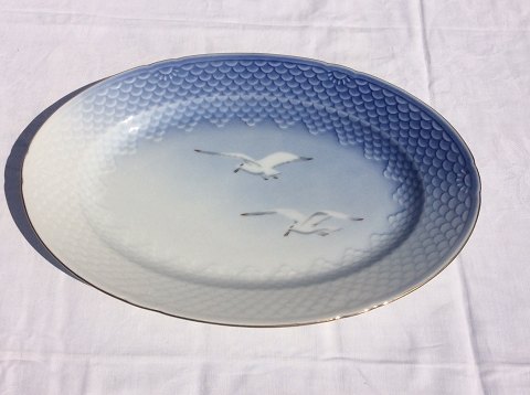 Bing & Grondahl
Seagull with gold edge
Oval dish