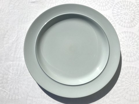 Royal Copenhagen
Blauer Rand
Abendessen Teller
# 625 #3070
* 150 kr