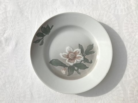 Bing & Grondahl
Weihnachtsrose
Kuchenteller
# 616
* 30kr