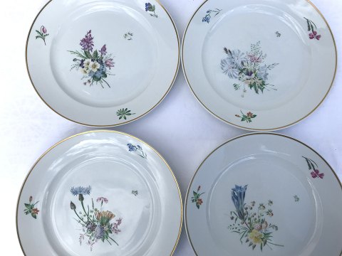 Royal Copenhagen
Primavera
Dinner Plate
# 1515/14008
* 175kr