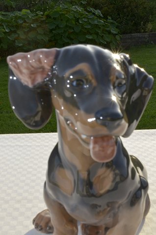 Royal Copenhagen figurine 856 Dachshund