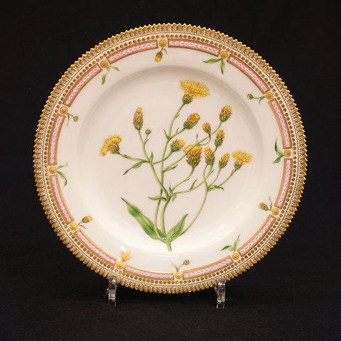 Early Flora Danica plate late 19th century. Royal 
Copenhagen 1870-90. "Hieracium umbellatum L"
D: 25cm