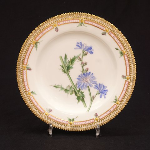 Early Flora Danica plate late 19th century. Royal 
Copenhagen 1870-90. "Cichorium Intybus L"
D: 25cm