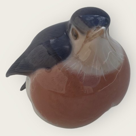 Royal Copenhagen
Robin redbreast
#2266
*DKK 300