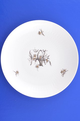 Rosenthal Romanze in Moll Teller