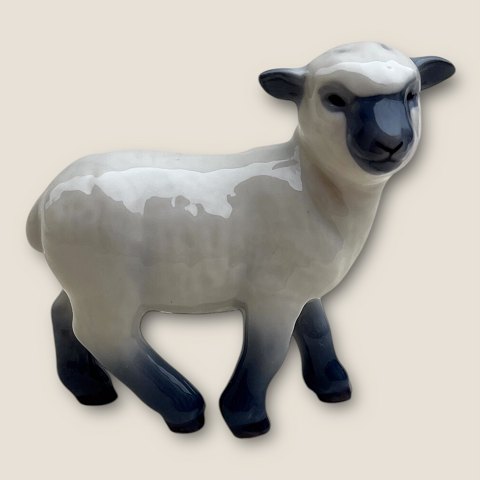 Bestellnummer: 598067