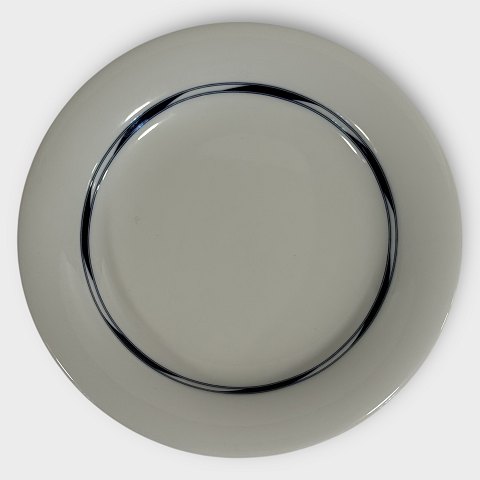 Sirus
Royal Copenhagen
Kuchenteller
# 617
150 DKK