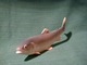 Royal 
Copenhagen 
figurine No 
2676 of 1st 
quality, Royal 
Copenhagen 
porcelain 
figurines, ...
