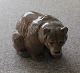 Klicken Sie 
auf ein 
Foto, um 
das große 
Bild sehen