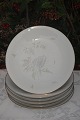 "Venus" Bing & 
Gröndahl 
Porzellan. B&G 
Venus, 
Menueteller   
nr. 25. 
Durchmesser 
24cm. 1. & 2. 
...