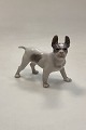 Royal Copenhagen Figurine Boston Terrier No. 1457