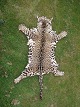 Bestellnummer:
152246 Bestellnummer:
152246