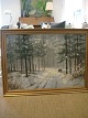Klicken Sie 
auf ein 
Foto, um 
das große 
Bild sehen