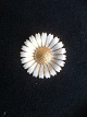 Bestellnummer:
183856 Bestellnummer:
183856