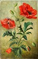 D&auml;nischer 
K&uuml;nstler 
(19. 
Jahrhundert): 
Mohnblumen. 
Signiertes 
Monogramm: AH. 
&Ouml;l ...