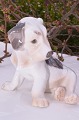 Bing & Gröndahl 
Porzellan Figur 
sitzender 
Terrier. B&G 
Hund nr.2027. 
Höhe 10 cm. 
Tadelloser ...
