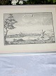 Lithograhp from 
Randers 
Jylland. 30 cm. 
X 24,5 cm.