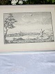 Lithographie 
aus Randers 
Fjord. Breite 
30 cm. X 24,5 
cm.
