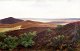Agersnap, Hans 
(1857 - 1925) 
D&auml;nemark: 
Blick von 
Randb&oslash;l. 
&Ouml;l auf 
Leinwand. ...