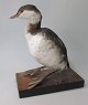 Ausgestopft 
Haube Grebe - 
junge - 
Podiceps 
cristatus. 
D&auml;nemark. 
Montiert auf 
einem ...