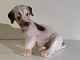 Bing & Gröndahl
Rauhaariger Foxterrier-Welpe
# 2027
*375DKK