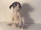 Royal 
Copenhagen, 
Pointer Puppy # 
259, 20,5cm 
groß, 1. 
Klasse, Design 
Erik Nielsen * 
Schöner ...