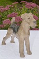 Bing & Gröndahl 
Porzellan Figur 
Terrier. B&G 
Hund nr. 2030. 
Höhe 17,5 cm. 
Tadelloser 
Zustand, 2. ...