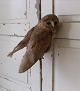 Klicken Sie 
auf ein 
Foto, um 
das große 
Bild sehen