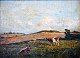 Lassen, Aksel 
M. (1869 - 
1946) Dänemark. 
Kühe auf dem 
Feld. Öl auf 
Leinwand / 
Karton. ...