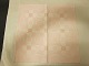 Damask table cloth, light colour, and 13 
serviettes
Table cloth: 262cm x 128cm
Serviette: 47cm x 47cm
In a good condition