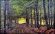 Groth, William 
(1842 - 1899) 
Dänemark. 
Menschen auf 
einer Straße in 
einem Wald - 
Frühling. Öl 
...