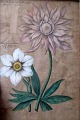 Hand-farbiger 
Stich 17/18. 
Jahrhundert. 
Anemone horten 
und Narcissus. 
No140. 30 x 20 
cm.