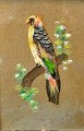Vögel Bilder. 
China, 19. Jh. 
Eine 
Kombination aus 
Vogelfedern und 
Pastellen. 17 x 
11,5 ...