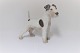 Bing & 
Gröndahl. Fox 
Terrier. Modell 
1998. Höhe 14,5 
cm. (1 Wahl)