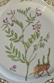 Royal 
Copenhagen 
Flora Danica 
Platte 3528