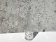 Glaskaraffe, Mit Blütensternen, 29 cm hoch, 7,5 cm Durchmesser * Guter Zustand *