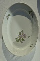 Bing & Gröndahl 
 Crysantemum 
Plate 15