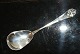Marmelade spoon French lily silverLength 15 cm.