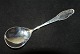 Marmelade spoon Frijsenborg SilverwareLength 14 cm.