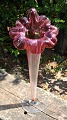 Große Vase, 20. 
Jahrhundert. 
Wie eine Blume 
geformt. Klares 
und rotes Glas. 
Konische Form. 
H.: ...