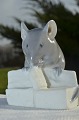 Royal Copenhagen Figur Maus 510