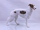 Bing og 
Grøndahl figur 
afstående 
Mynde, nr. 
2115. Stående 
Borzoi Mynde, 
stående russisk 
...