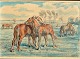 Schou, Svend (Sven) Holger (1877 - 1961) Dänemark: Pferde auf einem Feld. Aquarell. Signiert ...