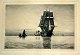 Locher, Carl (1851 - 1915) Dänemark: Marine. radierung. Signiert 1887. Druck: 16 x 23,5 cm. ...