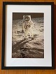 Original NASA-Farboffsetfotografie / Fotodruck von Edwin "Buzz" Aldrin aus dem Jahr 1969 während ...
