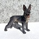Dahl Jensen, 
Stehender 
Deutscher 
Schäferhund # 
1087, 20cm 
breit, 21cm 
hoch, 1. Klasse 
* ...