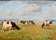 Bundgaard, Gunnar (1920 - 2005) Dänemark: Kühe auf einem Feld an einem Fjord. Öl auf Leinwand. ...